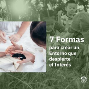 Diapositiva1