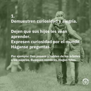 Diapositiva2