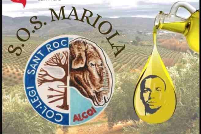 SOS MARIOLA un proyecto APS con cinco urgentes servicios