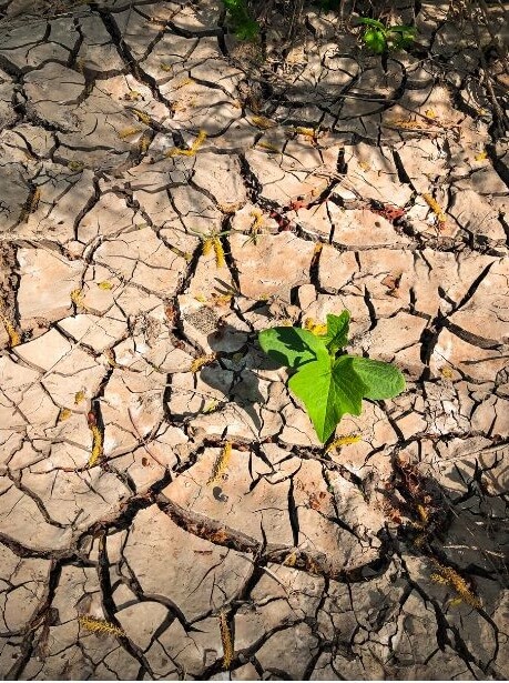 nota del editor Edición 14