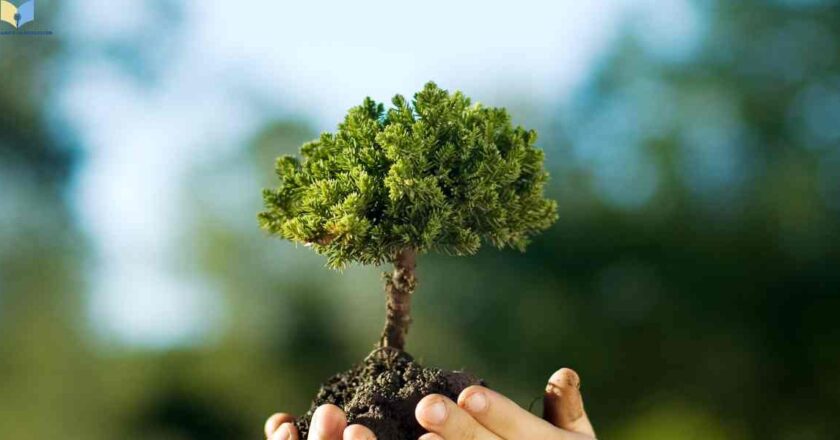 Educación en la Naturaleza y Cuidado del Medio Ambiente