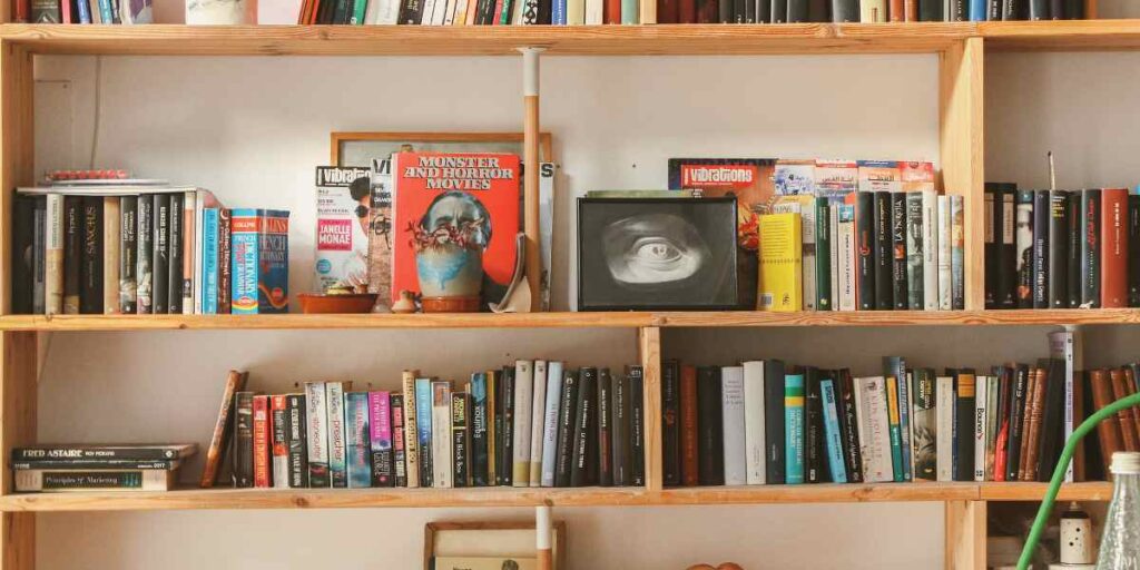 El libro en el librero 