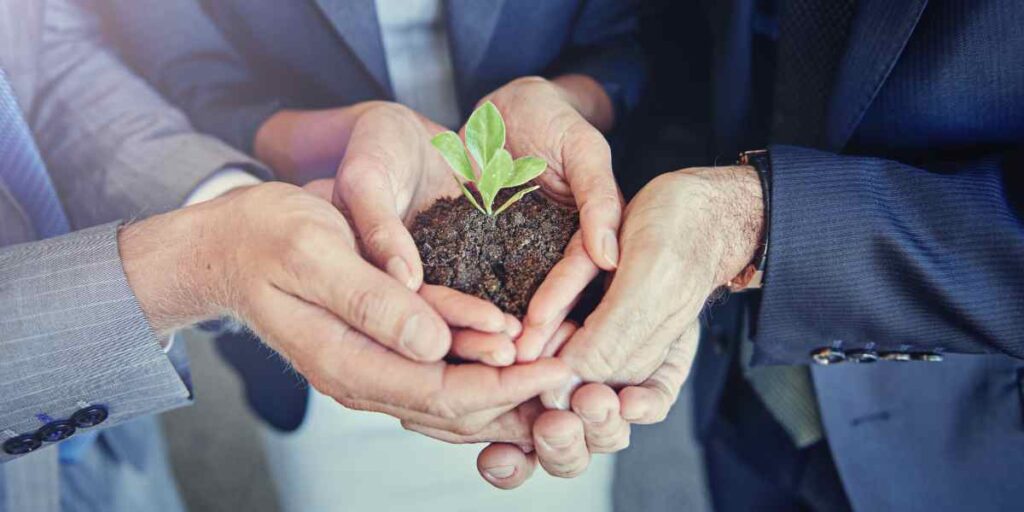 Inclusión de Valores y Actitudes Sostenibles en Educación