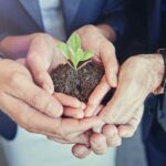 Inclusión de Valores y Actitudes Sostenibles en Educación