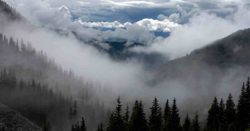 Educamos para cambiar el mundo