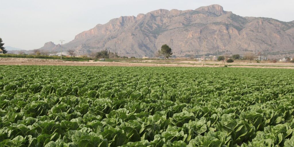 ¿Quién cultiva nuestro Jardín?
